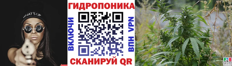Купить ГАШИШ  Бошки Шишки  МЕТАМФЕТАМИН  Мефедрон  COCAIN  Полярные Зори